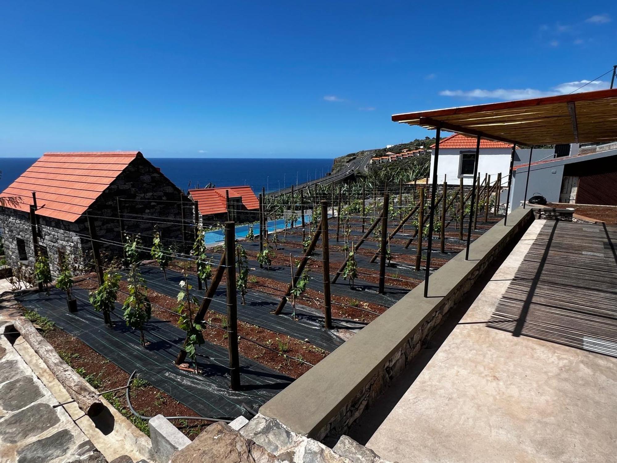 Casas Do Laranjo- Cottages & Infinity Pool Гаула Экстерьер фото